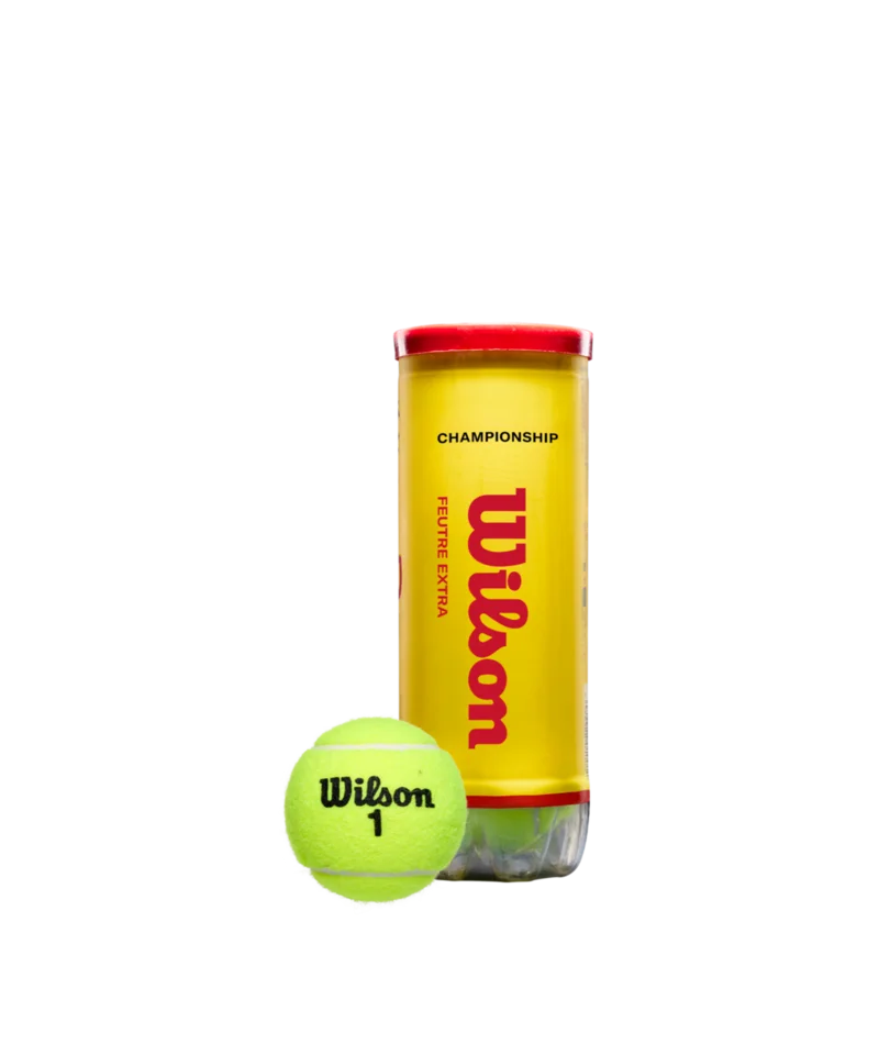 Wilson Championship Extra Duty 3 Ball Can