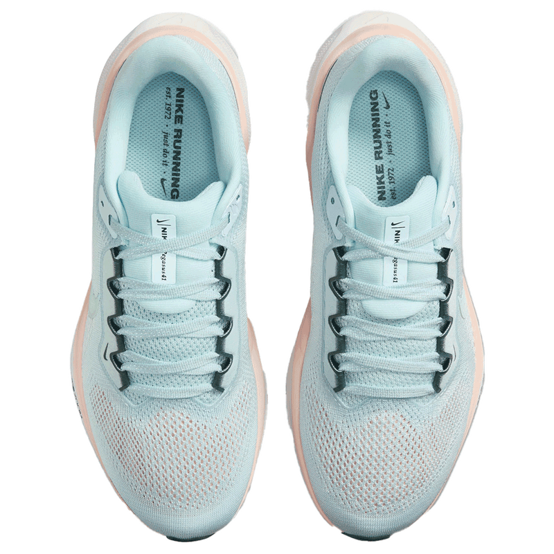 Nike Pegasus 41 PRM Women's Road Running Shoes