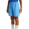Nike Youth Big Kids' Dri-FIT Training Shorts