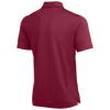 Nike Men's Dry Franchise Polo