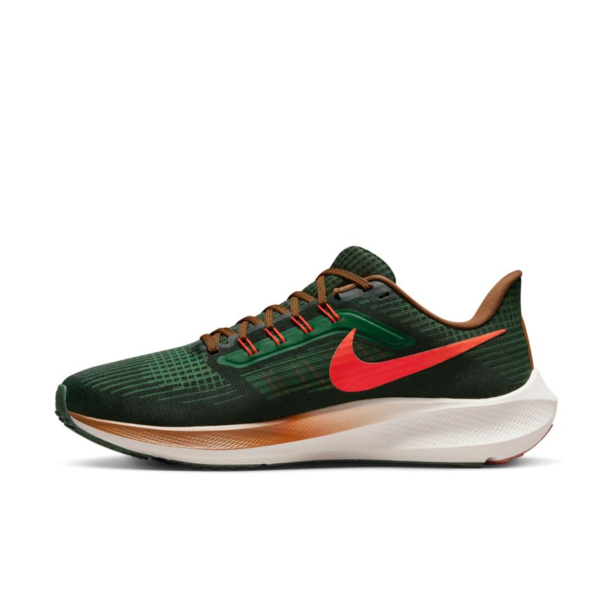 Nike Air Zoom Pegasus 39 A.I.R. Hola Lou Men's Road Running Shoes