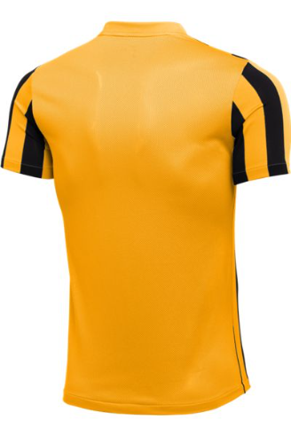 Nike us striped 2024 division 2 jersey