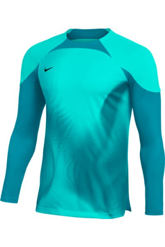 Nike, Shirts, Mens Nike Gardien Iii Team Goalkeeper Jersey Size Medium
