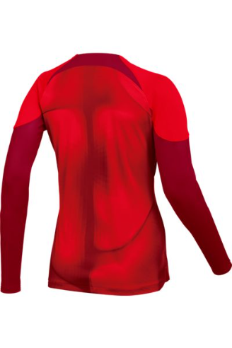 Nike Gardien Keeper Jersey - Pink Goalie Jerseys